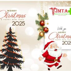 Nous vous souhaitons un Joyeux Noël et une Bonne Année 2025 !
